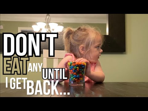 Kid's Candy Challenge - Testing My Toddler's Patience with a Bowl of Candy as I Leave the Room
