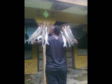 Naahu Tribes: Savainge