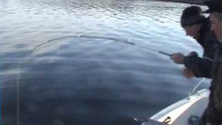 preview picture of video 'Минёк и треска Норвежская рыбалка Norway fishcatching'