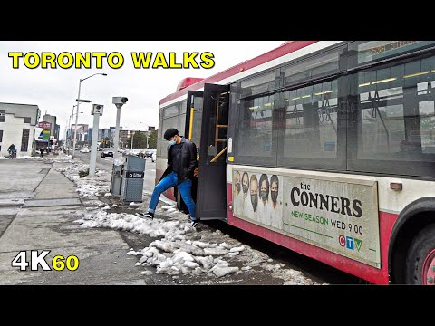 York Red Zone to Toronto Lockdown Zone Walk on November 24, 2020