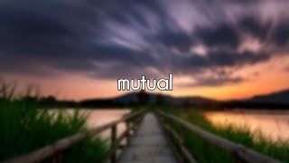 Shawn Mendes - Mutual (Lyric Video)