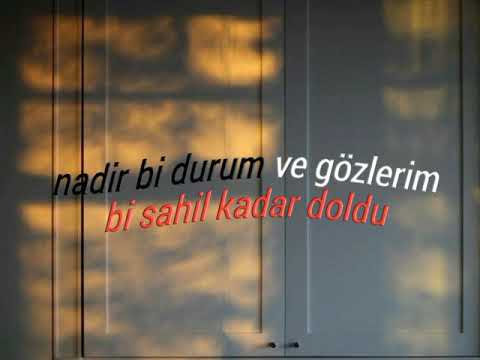 Azap HG - Papatya AlphaLyrics Edit