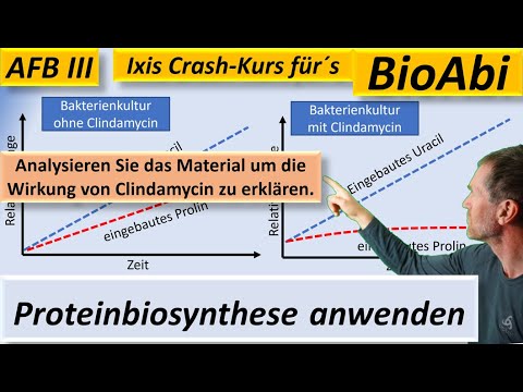 Proteinbiosynthese – Anwendungsaufgaben 1a – AFB III - Bestnoten im BioAbi mit BioIxi