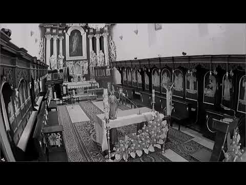 TV Padew – transmisja na żywo