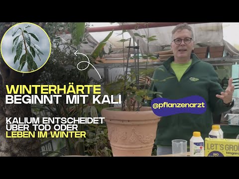 So überleben deine Pflanzen den Winter bestimmt! @Pflanzenarzt