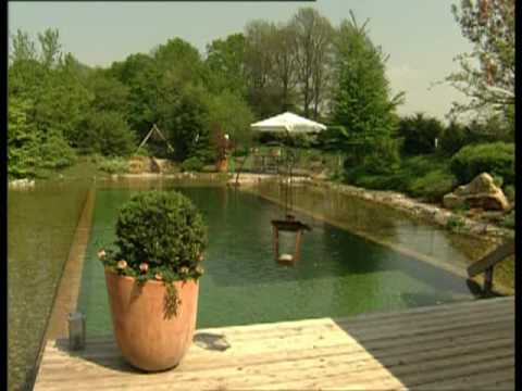 Watch Video on YouTube