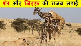 बाल-बाल बचे ये जंगल�