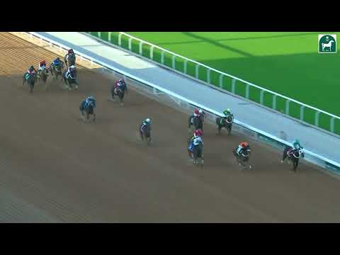 RIYADH RACING SEASON MEETING NO 36 RACE NO 4
