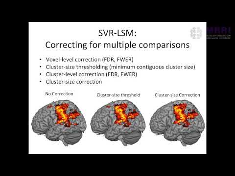 Lesion-Sympton Mapping Workshop 3 of 3