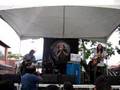 Charlie Musselwhite - Gone Too Long