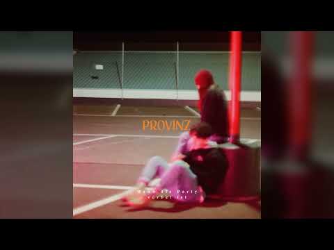 Provinz - Wenn die Party vorbei ist (Official Audio)