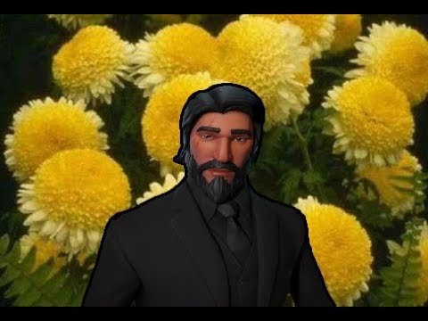 Chryzantemy Złociste w FORTNITE!