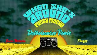 Bruce Melodie, Shaggy - When She’s Around (Funga Macho) Datboisanixx Remix (Official Audio)