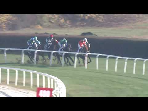 2020.11.08. 03. futam - KÁLLAI PÁL EMLÉKVERSENY -BUDAPESTI DÍJ (HUN Gd-3)