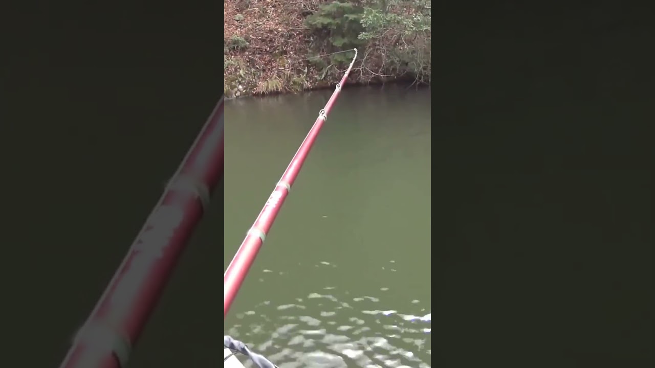 水温8℃でバイト出た。早春スピナベ