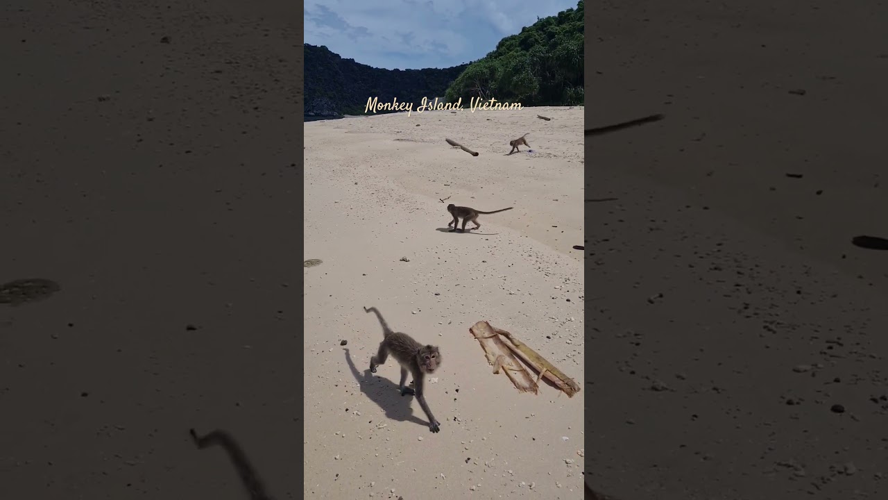 YouTube Short thumbnail