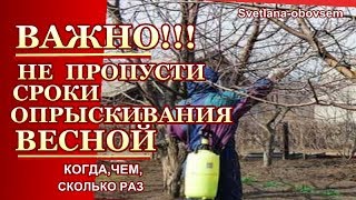 Опрыскивание сада ранней весной медным купоросом