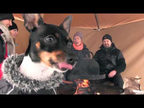 Nimbus 16 - a family weekend