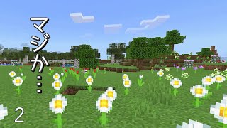[マイクラ] onスィッチ No.2 こういうのを神マップっていうんですか？