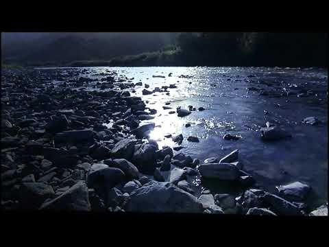 Tehilliym   Psalms 27 Cepher