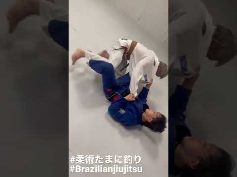 そうだ、三角絞めをしよう！！#柔術 #格闘技 #柔道 #ブラジリアン柔術 #護身術