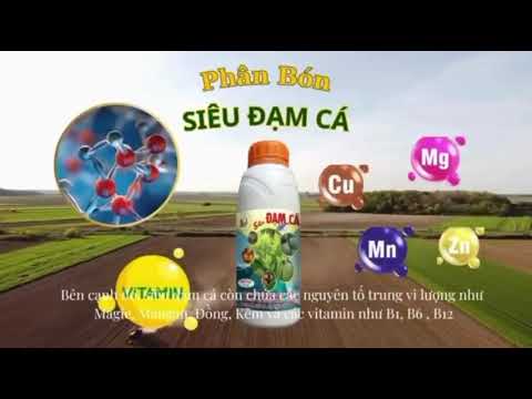 Cùng khám phá "Siêu Đạm Cá" Phân Hữu Cơ của nhà One More