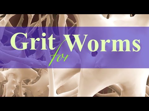 Grit for Worms: Eggshells, Biochar, and Bone Meal