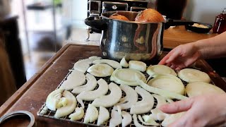 Farmers Selling Produce Directly to Consumers Means You Need To Get Food Processed Fast! (ONIONS)