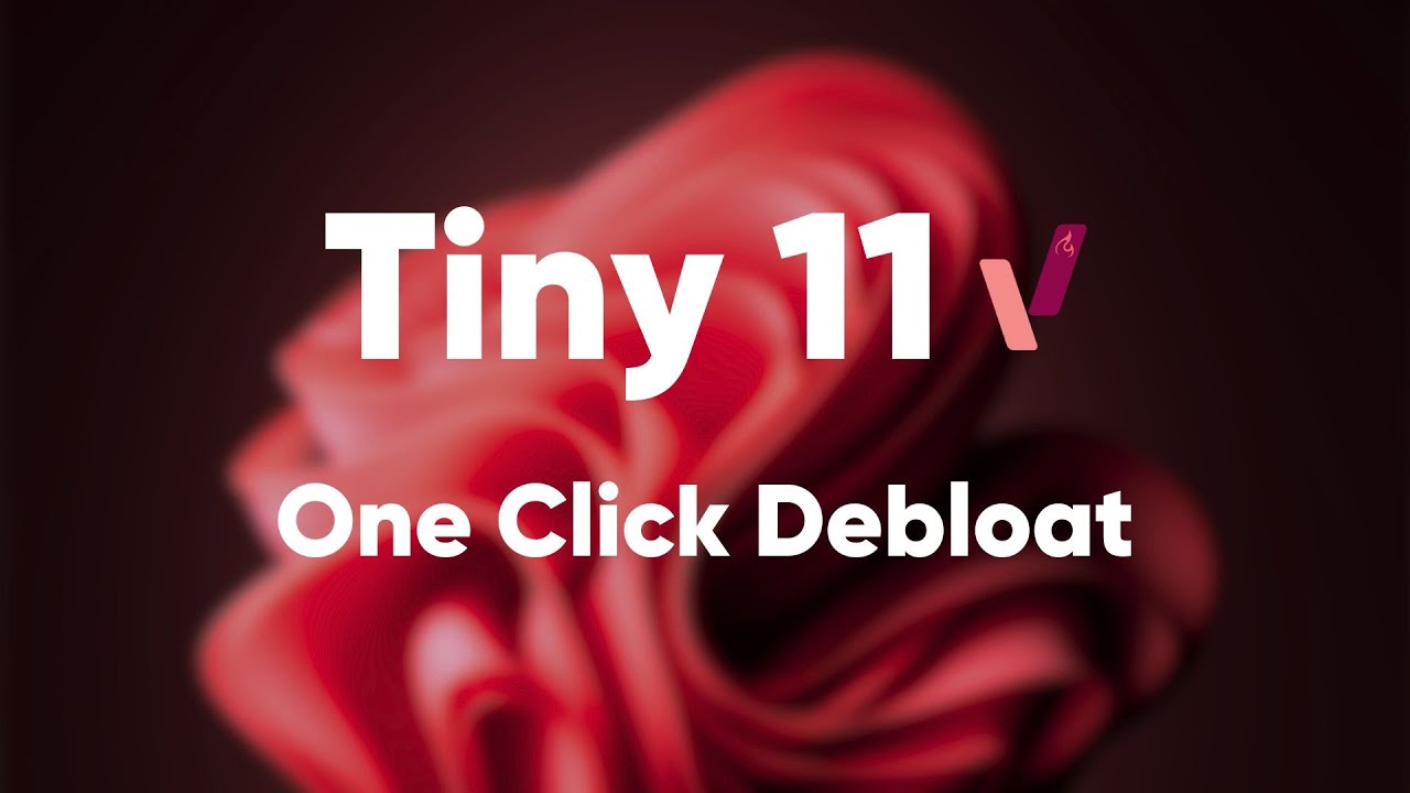 One-Click Debloat Demo Video