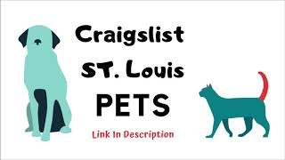 Craigslist St Louis Pets