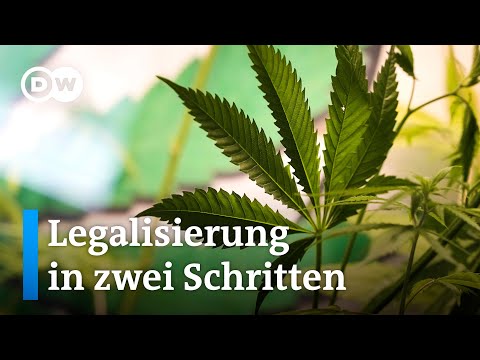 So will die Bundesregierung Cannabis legalisieren | DW Nachrichten