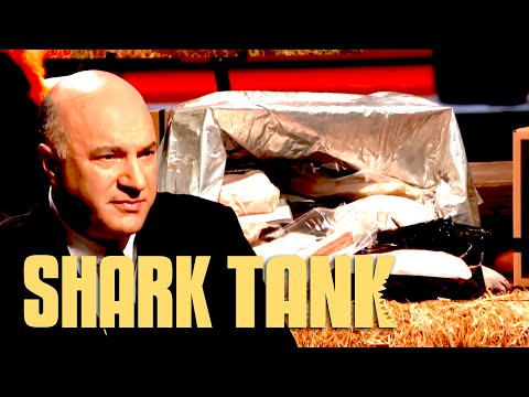 Moink Shark Tank Pitch