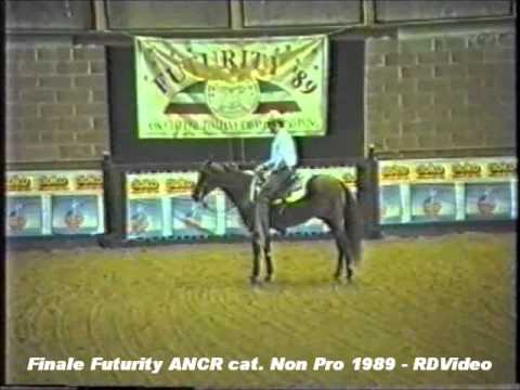 RDVideo - Futurity ANCR 1989 cat. Non Pro - video 3 di 3