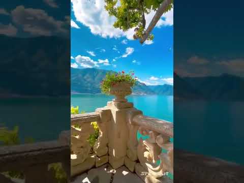 Senjor Haze, W3SLY, Sirroby- Olay💥💥💥