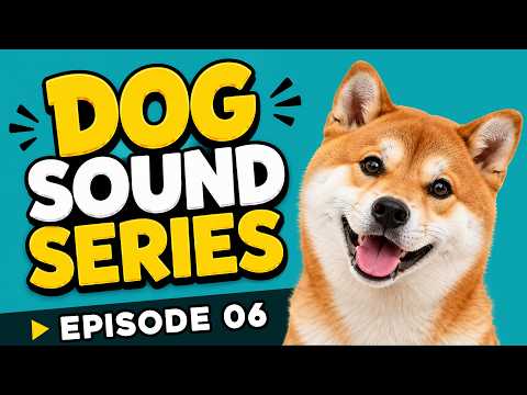 Dog Sound Series 🐶 | Episode 06: 10 Sounds That Attract Dogs