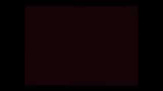 The Noisy Freaks - Cheer Song