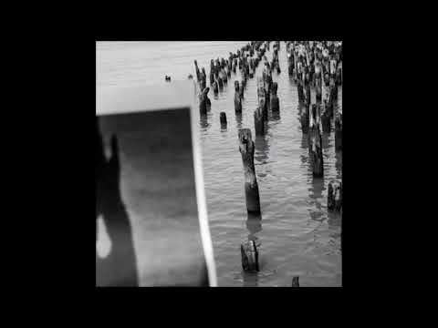 02. Forested - Don't Blame You