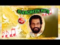 Malayalam Film Songs Vaasanayude Theril Vaiki Vanna Vasantham Song Malayalam Movie Songs