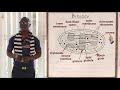 12. The Chloroplast Biology Form 1