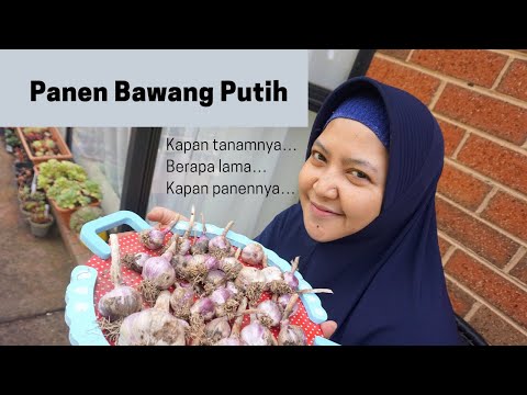 , title : 'Panen Bawang Putih + Update Kebun Belakang Rumah di Musim Semi Menjelang Musim Panas'