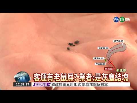老鼠糞便