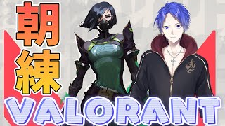 【ヴァロラント】朝枠練習!!コンペ振り分け戦やるか!!『valorant配信』
