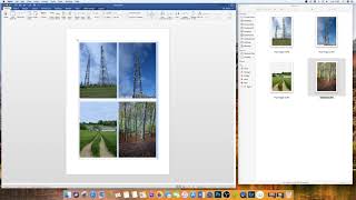 How to insert an image in word with perfect dimensions | Microsoft Word Tutorials