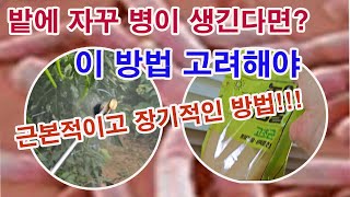밭에 자꾸 병이 생긴다면 이 방법을 고려해야(건강한 토양 만들기, 미생물 농법, 미생물 활용, 고초균, 광합…