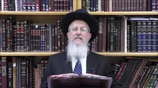 הגאון הרב אברהם יוסף שליט＂א האם מותר להניח פרחים באגרטל עם מים בשבת אדר תשפ"ו (רבנים שונים) - התמונה מוצגת ישירות מתוך אתר האינטרנט יוטיוב. זכויות היוצרים בתמונה שייכות ליוצרה. קישור קרדיט למקור התוכן נמצא בתוך דף הסרטון