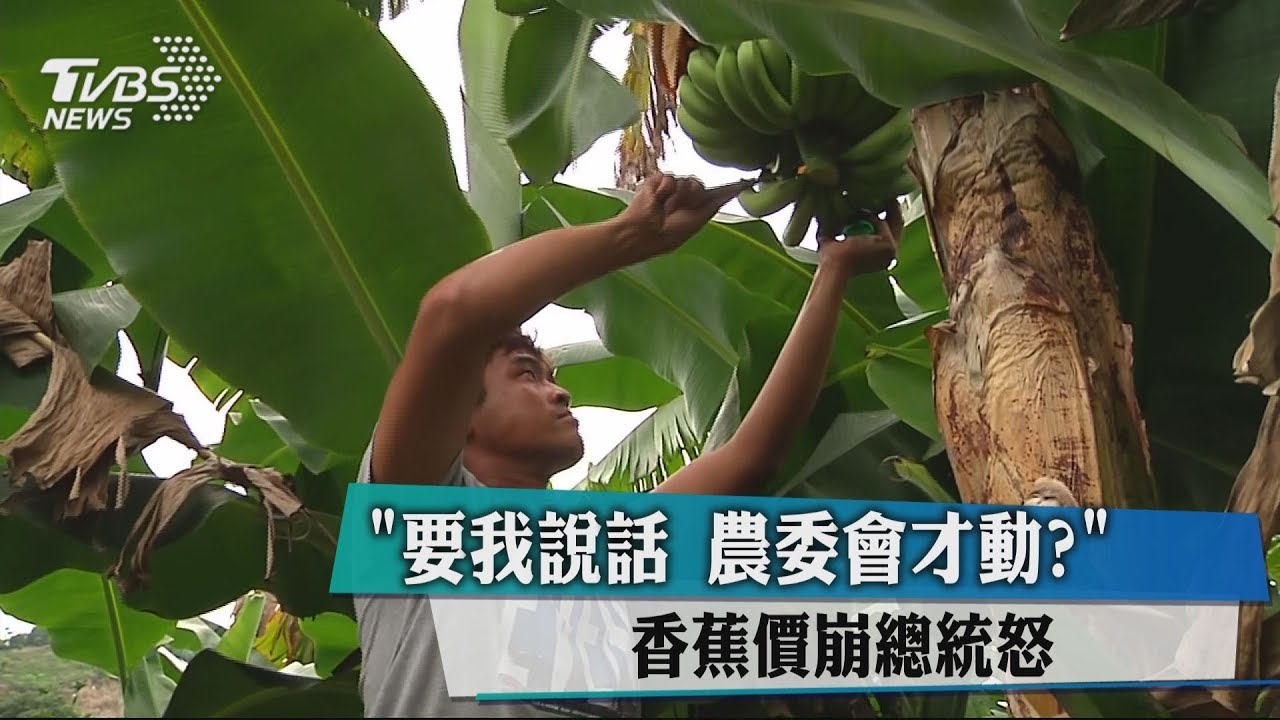 「要我說話農委會才動?」 香蕉價崩總統怒