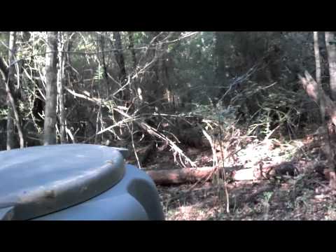 Moultrie feeder review