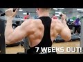 Back Workout for Wider Lats! | Physique Update | 7 Weeks Out