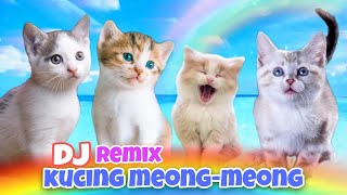 Download lagu DJ KUCING MEONG-MEONG | LAGU KUCING MEONG MEONG REMIX | CUTE KITTEN #kucing #kucinglucu mp3 Download lagu DJ KUCING MEONG-MEONG | LAGU KUCING MEONG MEONG REMIX | CUTE KITTEN #kucing #kucinglucu mp3