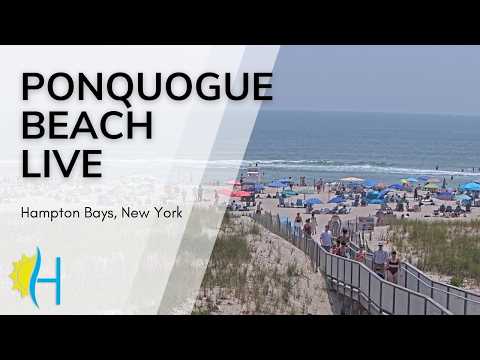 Ponquogue Beach provider preview; may be cover art, image time unknown